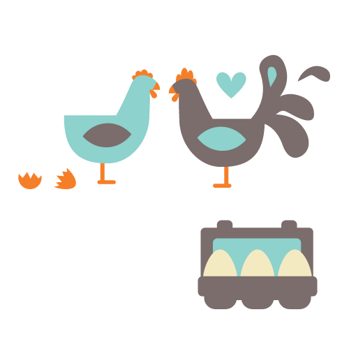 Chicken and egg icon