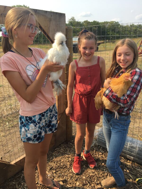 Kids with chickens.