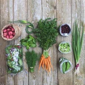 Veggie mixer pack