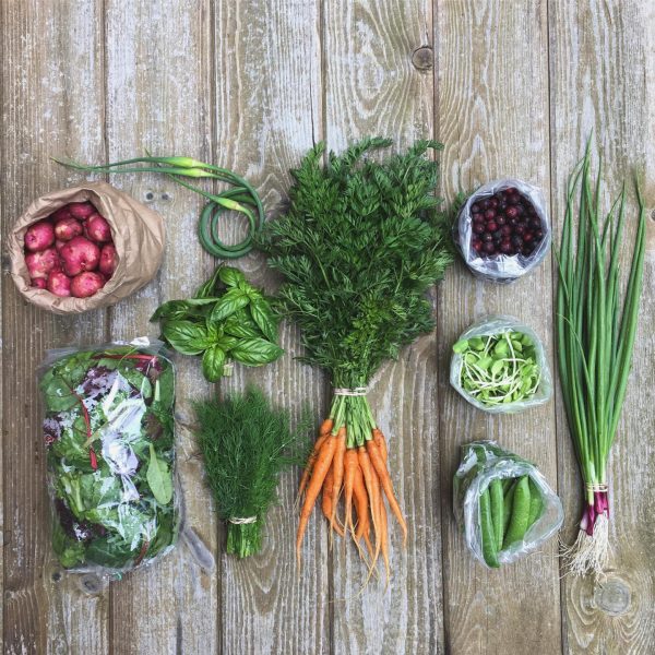 Veggie mixer pack